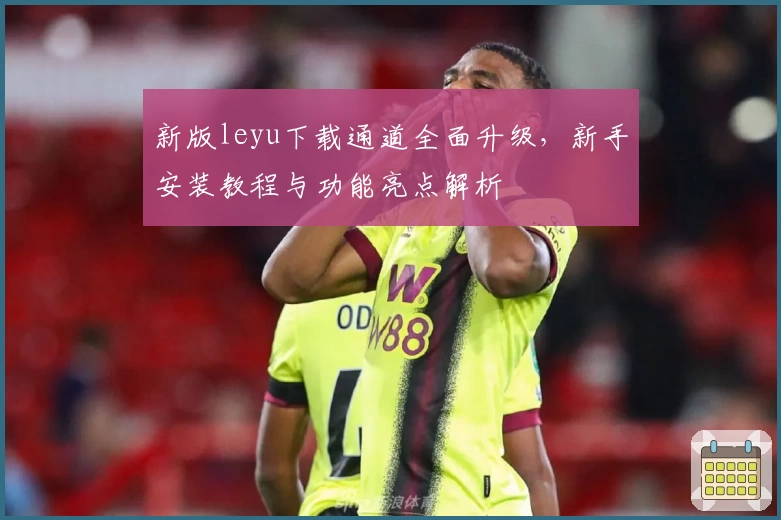 新版leyu下载通道全面升级，新手安装教程与功能亮点解析