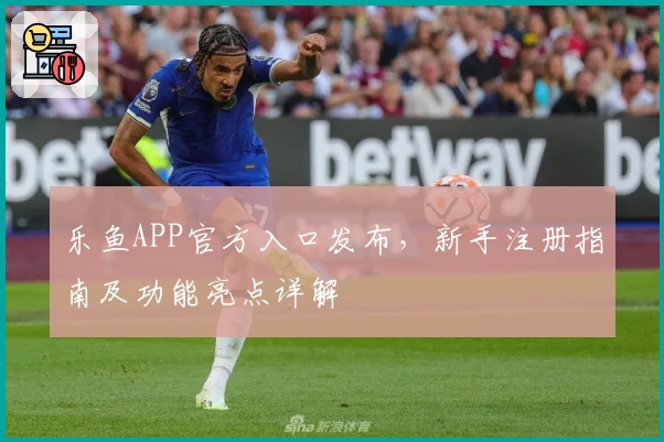 乐鱼APP官方入口发布，新手注册指南及功能亮点详解