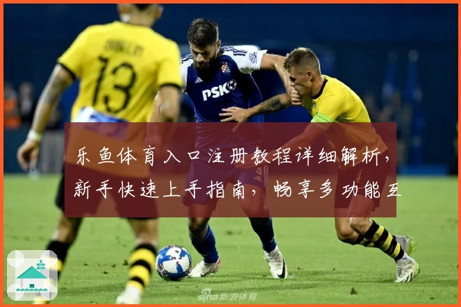 乐鱼体育入口注册教程详细解析，新手快速上手指南，畅享多功能互动体验