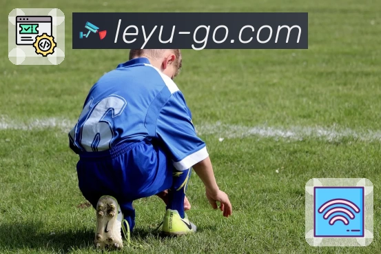 leyu App 展示图